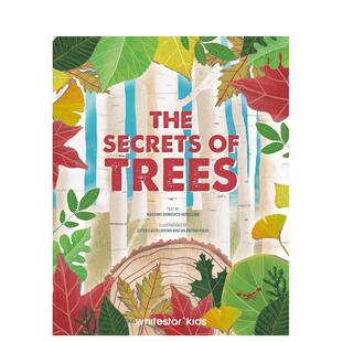 【预售】树木的生命 Lives Of Trees 英文原版儿童绘本3-6岁进口英语启蒙读物知识百科书籍 Novellino  Castelnuovo  Figus