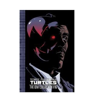 【现货】英文漫画 忍者神龟:IDW收藏集 卷16 Teenage Mutant Ninja Turtles: The IDW Collection Volume 16 原版英文图书