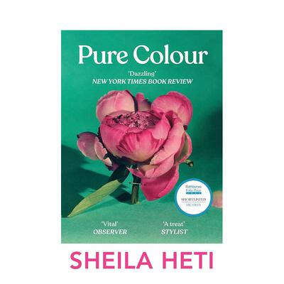 【预售】【希拉·海蒂】纯色 2022年加拿大总督奖 Pure Colour 英文原版小说书籍外版文学图书进口英语读物Sheila Heti