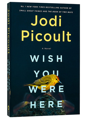 【现货】希望你在Wish You Were Here 大众女性励志文学故事 英文原版 Jodi Picoult 进口图书书籍
