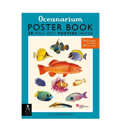 【现货】【欢迎来到博物馆】海洋馆：28张可撕海报 【Welcome To The Museum】Oceanarium Poster Book 原版英文儿童绘本图书书籍