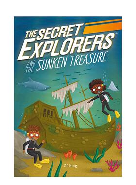 【预售】DK儿童 秘密探险家与沉没的宝藏 The Secret Explorers and the Sunken Treasure 英文原版儿童章节书少儿英语启蒙书籍