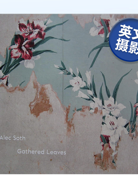 【现货】Alec Soth摄影集 聚集的叶子 Gathered Leaves 英文原版人文自然风光摄影作品集书籍进口艺术画册 埃里克·索斯/艾克索思