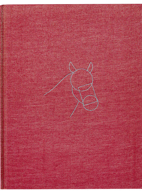 【现货】Rachel Harrison  Life Hack 雷切尔·哈里森 英文原版现当代艺术书籍进口