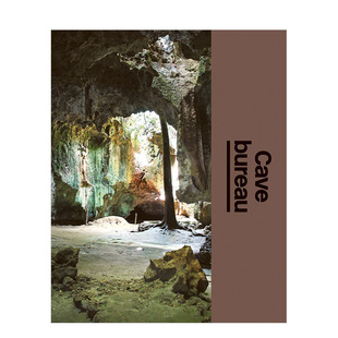 Architect 英文建筑 建筑工作室 原版 Studio The Bureau Cave 预售