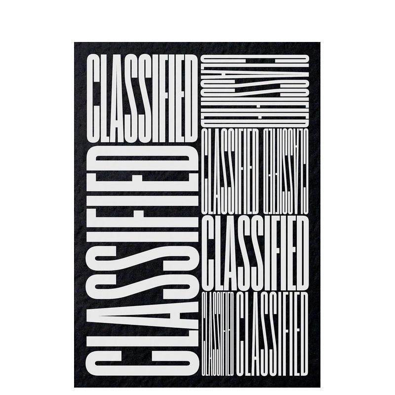 【现货】分类广告:美国南方小镇当地广告视觉实录 Classified: Local ads from america’s Small Towns 原版英文广告包装设计