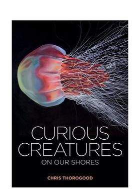 【现货】海岸上的奇异生物 Curious Creatures on our Shores 原版英文社会科学图书书籍
