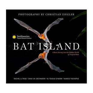 【预售】蝙蝠岛：进入热带蝙蝠的隐秘世界 Bat Island: A Rare Journey into the Hidden ...英文摄影作品集自然景观图书