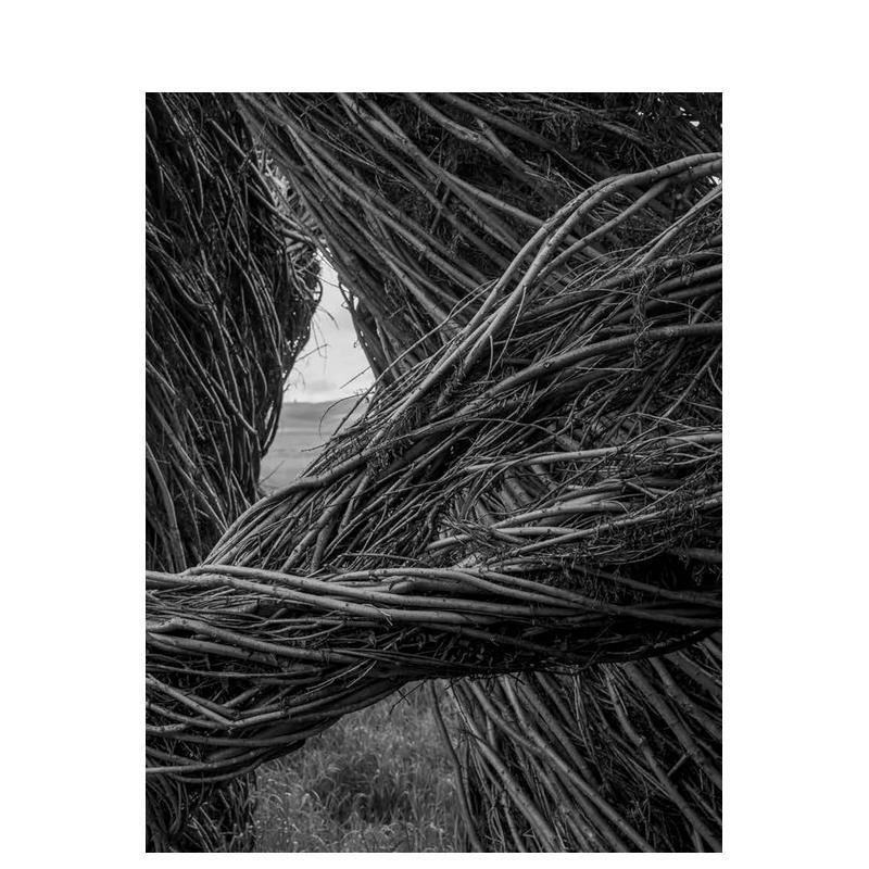 【预售】Patrick Dougherty | James Florio:棍棒 原版英文艺术画册画集进口图书