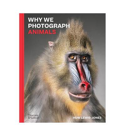 【现货】为何拍摄动物 Why We Photograph Animals 原版英文摄影自然景观