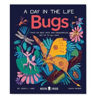 进口书籍Ware 动物 虫子 图书外版 Dr. Bugs英文儿童绘本原版 一天 Life the Jessica Day 预售
