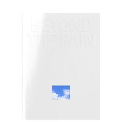 【预售】超越痛苦 辛德芬根市画廊同名展览画册 Beyond the Pain 原版英文艺术画册画集图书