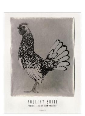 【现货】珍·帕格鲁索：家禽 Jean Pagliuso：Poultry Suite 原版英文摄影作品集图书