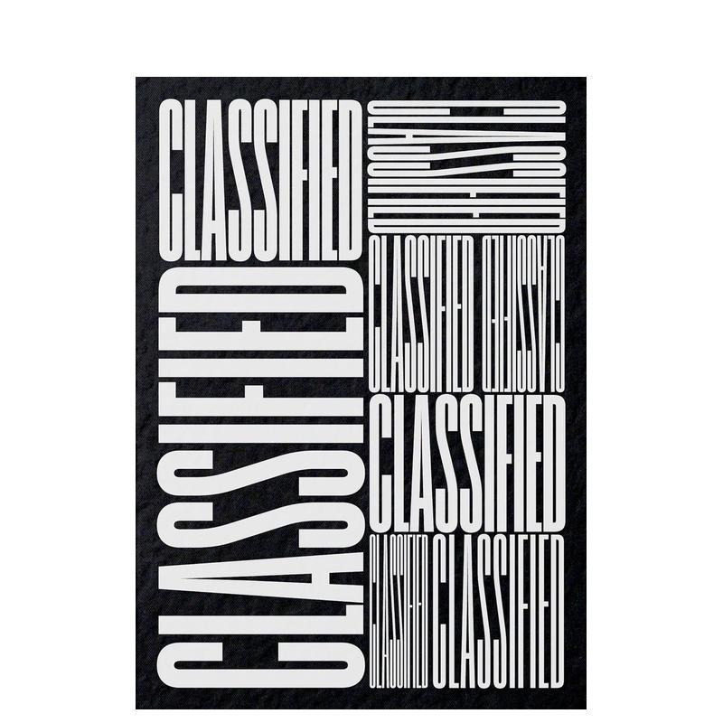 【现货】分类广告：美国南方小镇当地广告视觉实录 Classified: Local ads from america’s Small Towns 原版英文广告包装设计