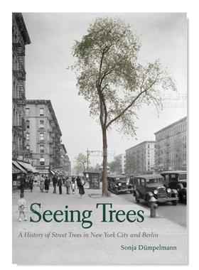 【现货】看树 Seeing Trees 英文原版进口外版图书