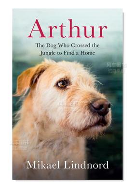 【预售】亚瑟:穿越丛林寻家狗 The Dog who Crossed the Jungle to Find a Home英文小说原版图书外版进口书籍Mikael Lindnord