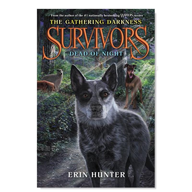 幸存者聚集的黑暗2夜深人静S