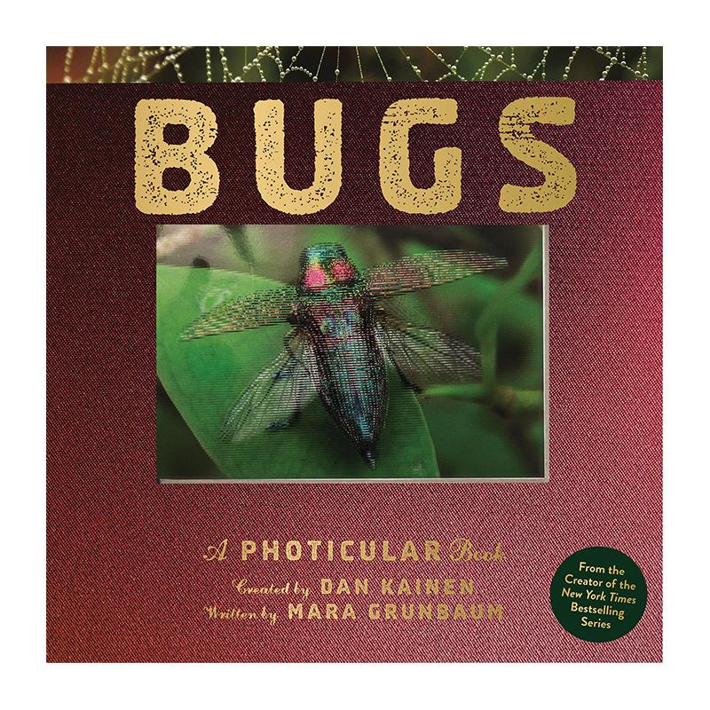 【3D动态趣味书】昆虫 Bug