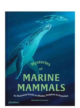 【预售】海洋哺乳动物之谜：鲸鱼、海豚和鼠海豚图解指南 Mysteries of Marine Mammals 原版英文儿童绘本图书书籍