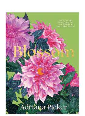 【现货】绽放：花海中发现奇迹的实用创意方法 Blossom 原版英文插画原画设定集