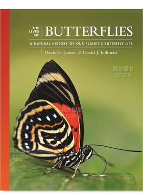 【预售】蝴蝶的生命:地球上蝴蝶生命的自然史 The Lives of Butterflies: A Natural History of Our Planet's Butterfly Life英