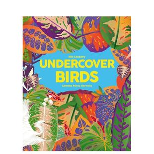 鸟儿 隐藏 Undercover Birds 英文儿童绘本图书 原版 现货