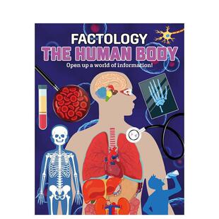 The 预售 人体 英文儿童绘本 进口图书 Body Human Factology 事实学派 原版