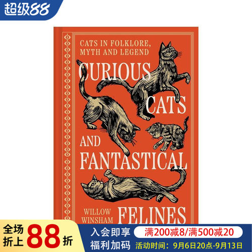 好奇的猫咪与奇幻的猫科动物 C
