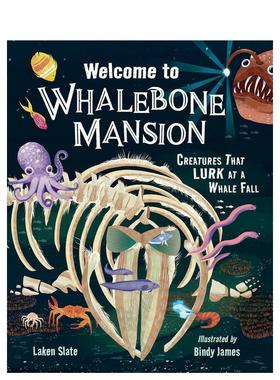 【预售】欢迎来到鲸骨庄园：鲸落潜伏生物志 Welcome to Whalebone Mansion 原版英文儿童绘本图书书籍