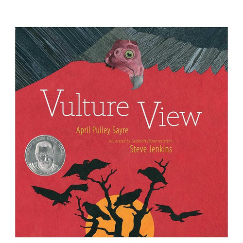 秃鹫的视角 Vulture V