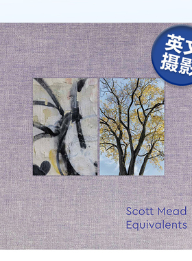 【现货】等价物：斯科特·米德 Equivalents: Scott Mead 英文原版进口外版图书
