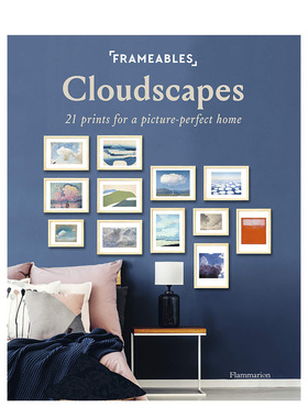 【现货】Cloudscape 镜框:漫游云端:21张艺术海报书籍进口原版