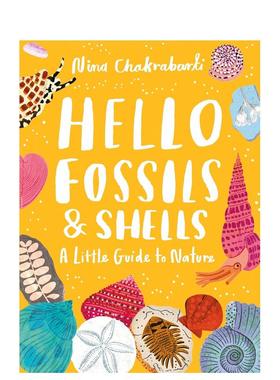 【预售】【自然小书】你好化石与贝壳 【A Little Guide to Nature】Hello Fossils and Shells 英文原版儿童绘本知识百科书籍