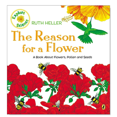 一朵花的原因TheReasonForA