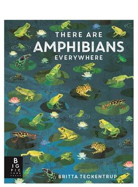 【现货】随处可见的两栖动物 【Britta Teckentrup Everywhere】There Are Amphibians Everywhere 原版英文儿童绘本图书
