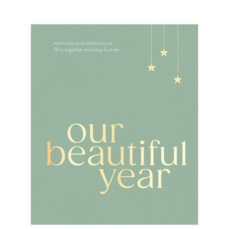 【预售】我们美好的一年 Our Beautiful Year 原版笔记本Notebook 家庭个性回忆录制作图书