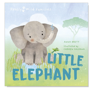 【现货】小象的一天 【Really Wild Families】Little Elephant 英文原版进口外版图书