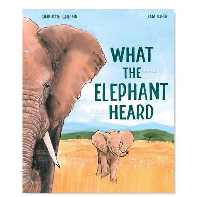 大象听到了什么WhattheElephant