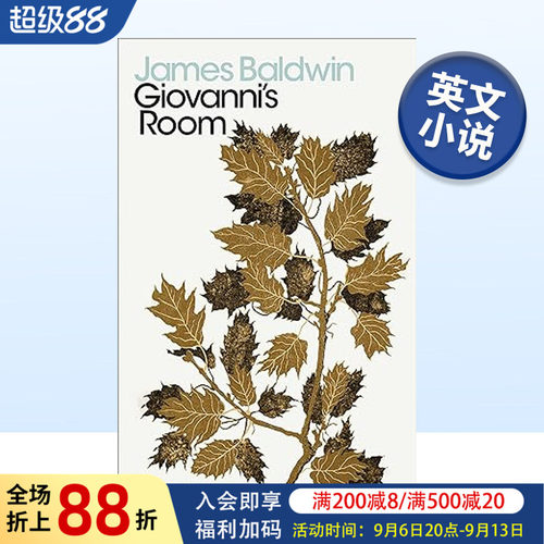 乔凡尼的房间英文小说