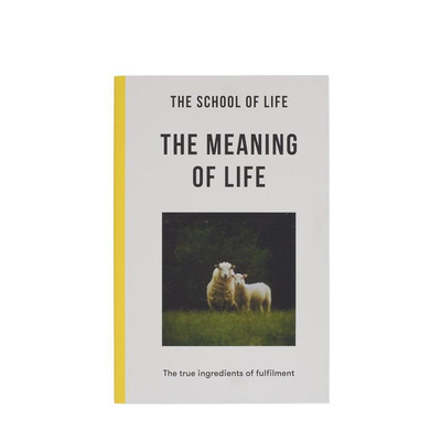 【预售】生命的意义：实现人生价值的真正要素 The Meaning of Life 原版英文心灵励志 进口图书