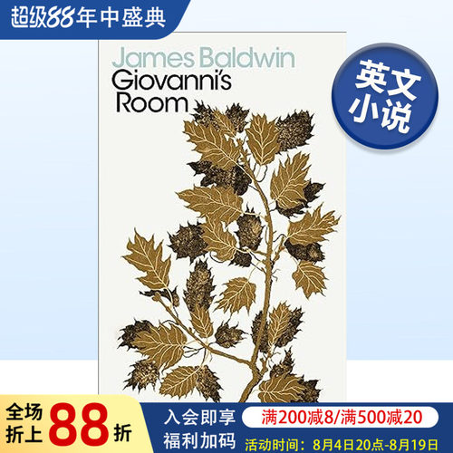 乔凡尼的房间英文小说