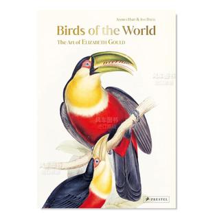 艺术 the 预售 伊丽莎白·古尔德 Gould英文插画原版 进口书籍Andre Elizabeth Birds 世界鸟类 The World 图书外版 Art