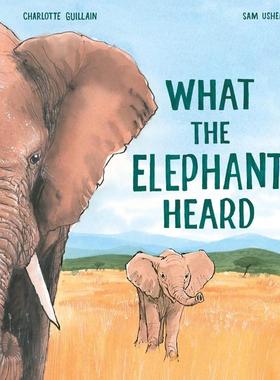 【现货】大象听到了什么？ What the Elephant Heard？ 原版英文儿童绘本图书