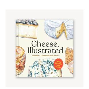 现货 原版 芝士插画 Illustrated 英文艺术插画原画设定集图书 Cheese