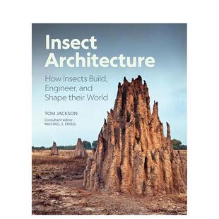 设计并塑造它们 世界 Insect 原版 昆虫建筑学：昆虫如何建造 Architecture 英文社会科学图书书籍 预售
