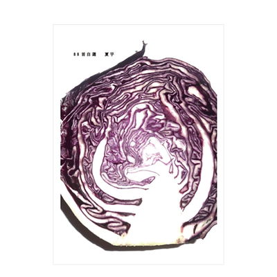 【现货】夏宇诗集：88首自选 台版原版文学诗歌华文现代诗 随机选诗+坏照片+画作+漫画别册书籍进口