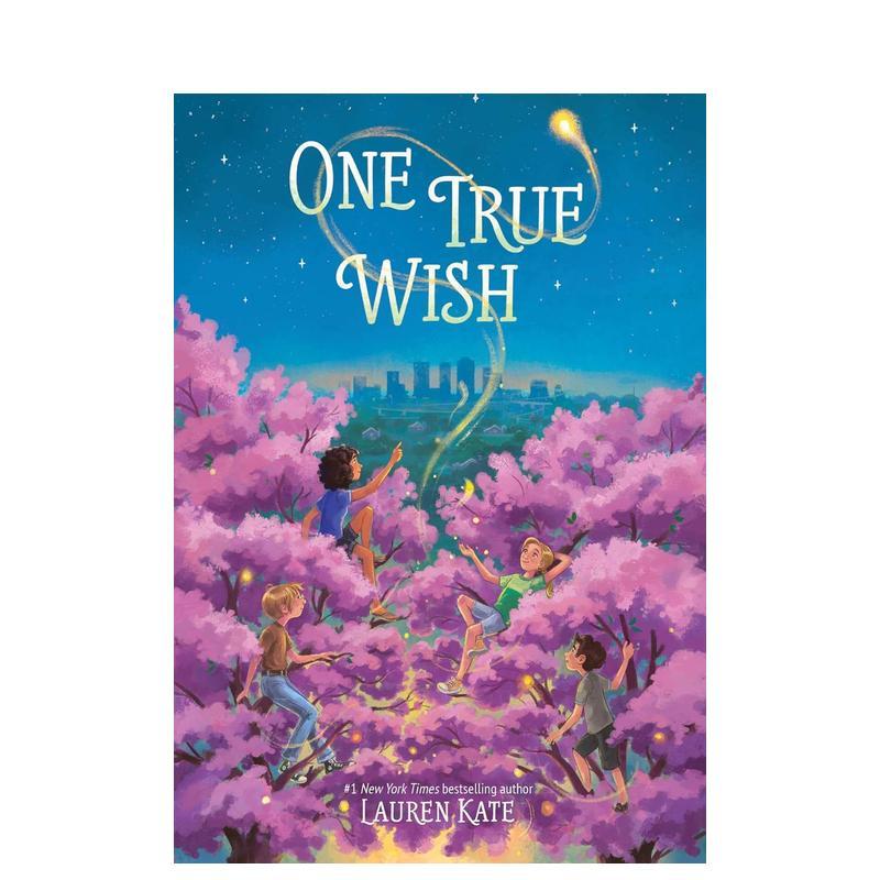 一个真实的愿望 One Tru