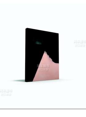 【现货】斯黛弗德里森 Stef Driesen英文原版图书进口外版书籍