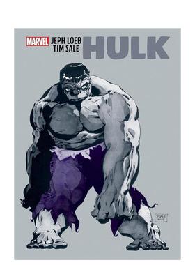 【预售】杰夫?勒布与蒂姆?塞尔：绿人 Jeph Loeb & Tim Sale: Hulk 原版英文漫画书图书书籍