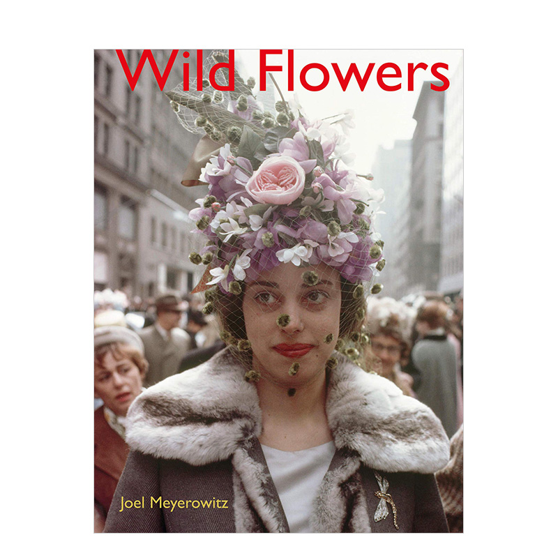 【现货】乔尔·迈耶罗维茨摄影集:野花 Joel Meyerowitz: Wild Flowers 英文原版城市植物摄影集艺术画册书籍 彩色摄影街拍作品集 书籍/杂志/报纸 艺术类原版书 原图主图